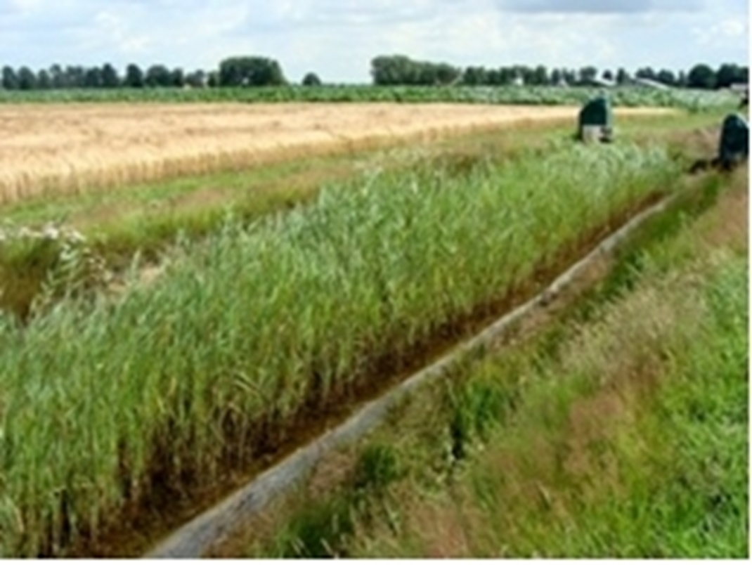 LEADER-project ‘Met landbouw en natuur op weg naar een betere bodemkwaliteit’